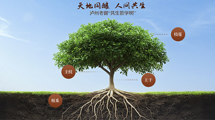 918博天堂 --官网首页