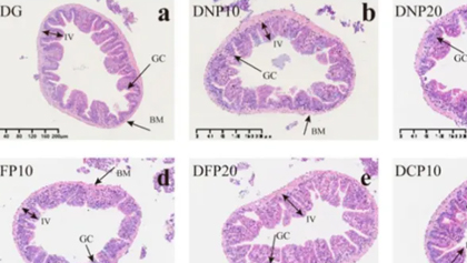 918博天堂 --官网首页