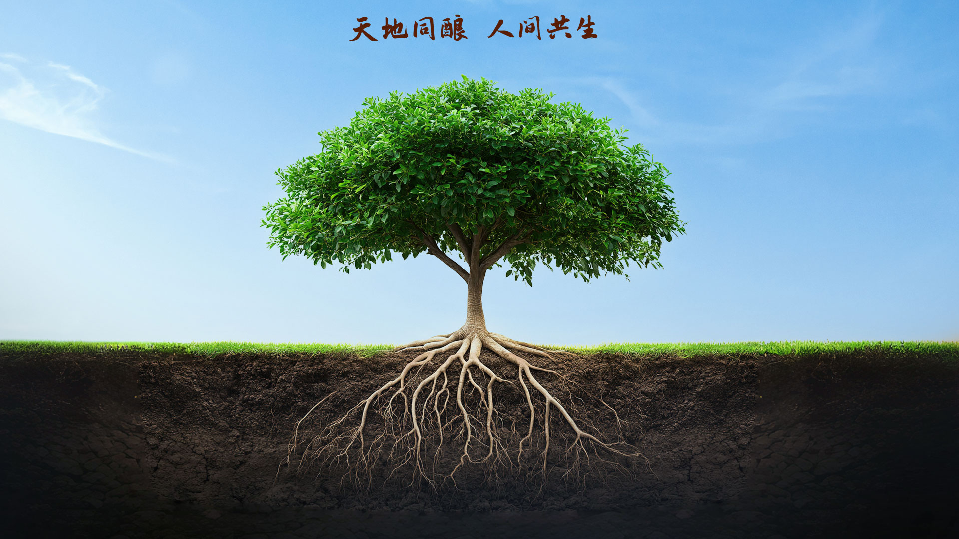 918博天堂 --官网首页